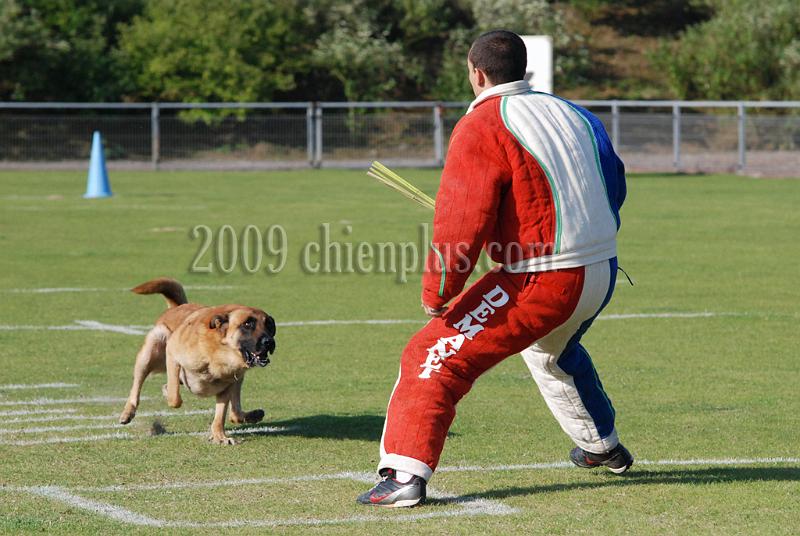 3 EME SELECTIF 2009 GRANDE SYNTHE 311.jpg